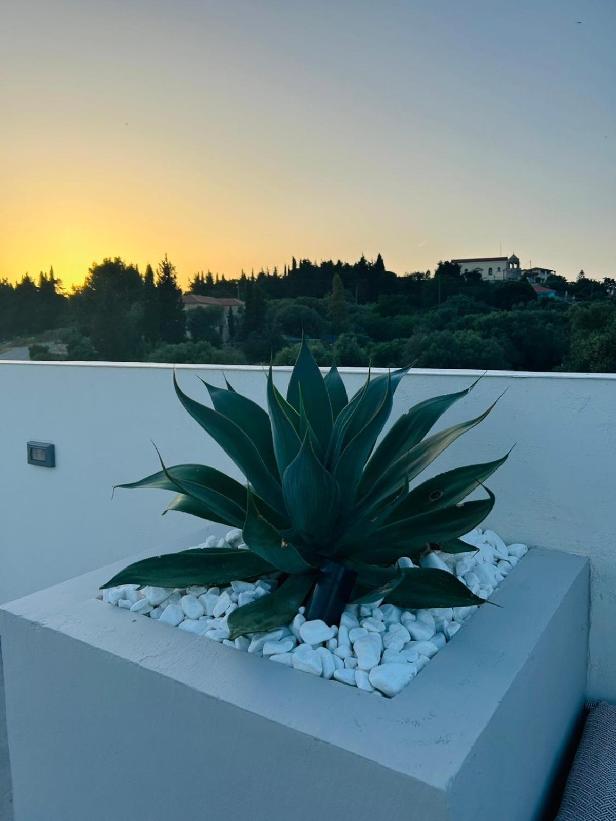 Villa Luz Blanca à Agios Leon Extérieur photo
